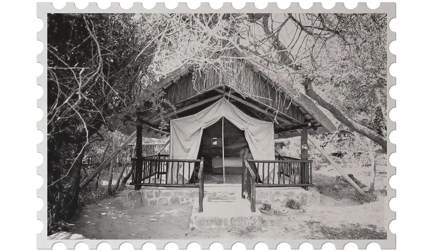 Schwarz-Weiß-Bild eines komfortablen Safarizeltes im Basislager des Dabchick-Reservats im Retro-Briefmarken-Look