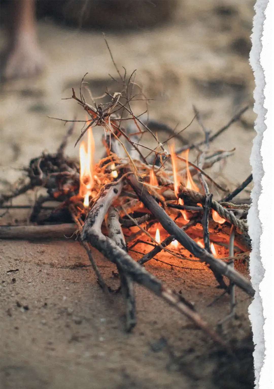 Image of a small campfire on a torn paper background.